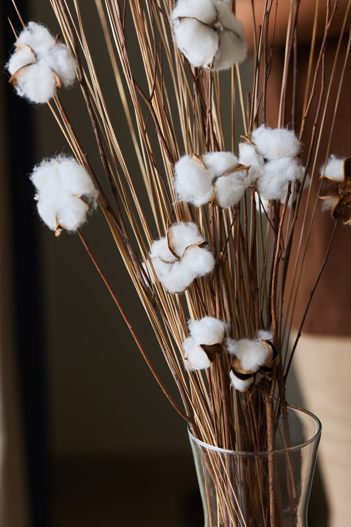 Cotton Flower Bunch Close up